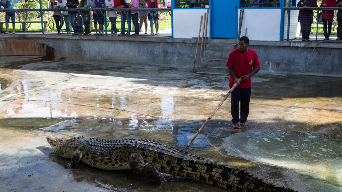 Sandakan Crocodile Farm