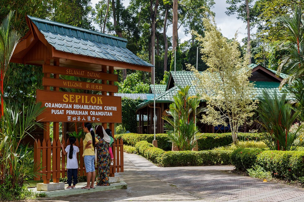 Sepilok Orang Utan Rehabilitation Centre — RM5 on a MyKad, RM30 without one