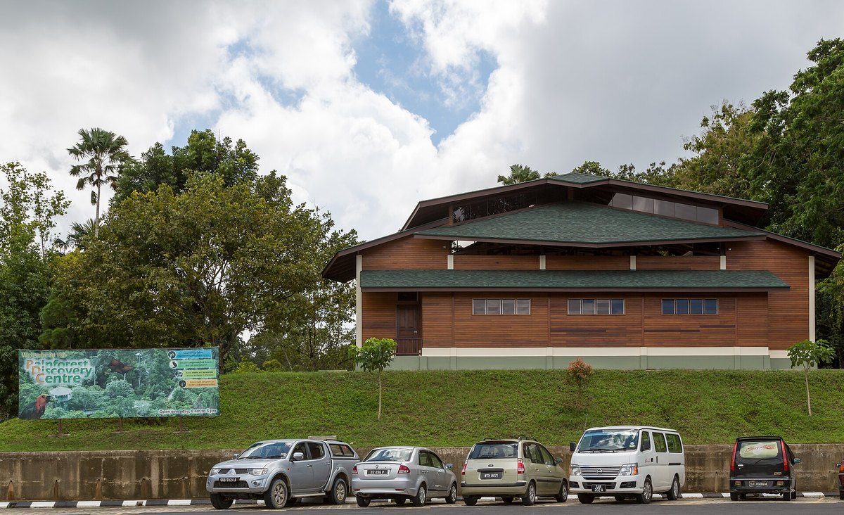 Rainforest Discovery Centre — RM7 on a MyKad, and the best-value night walk in Sabah