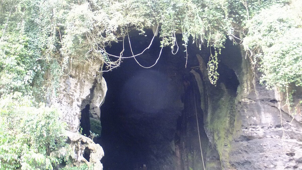 Gomantong Cave — RM5 on a MyKad, and a bat exodus worth staying for
