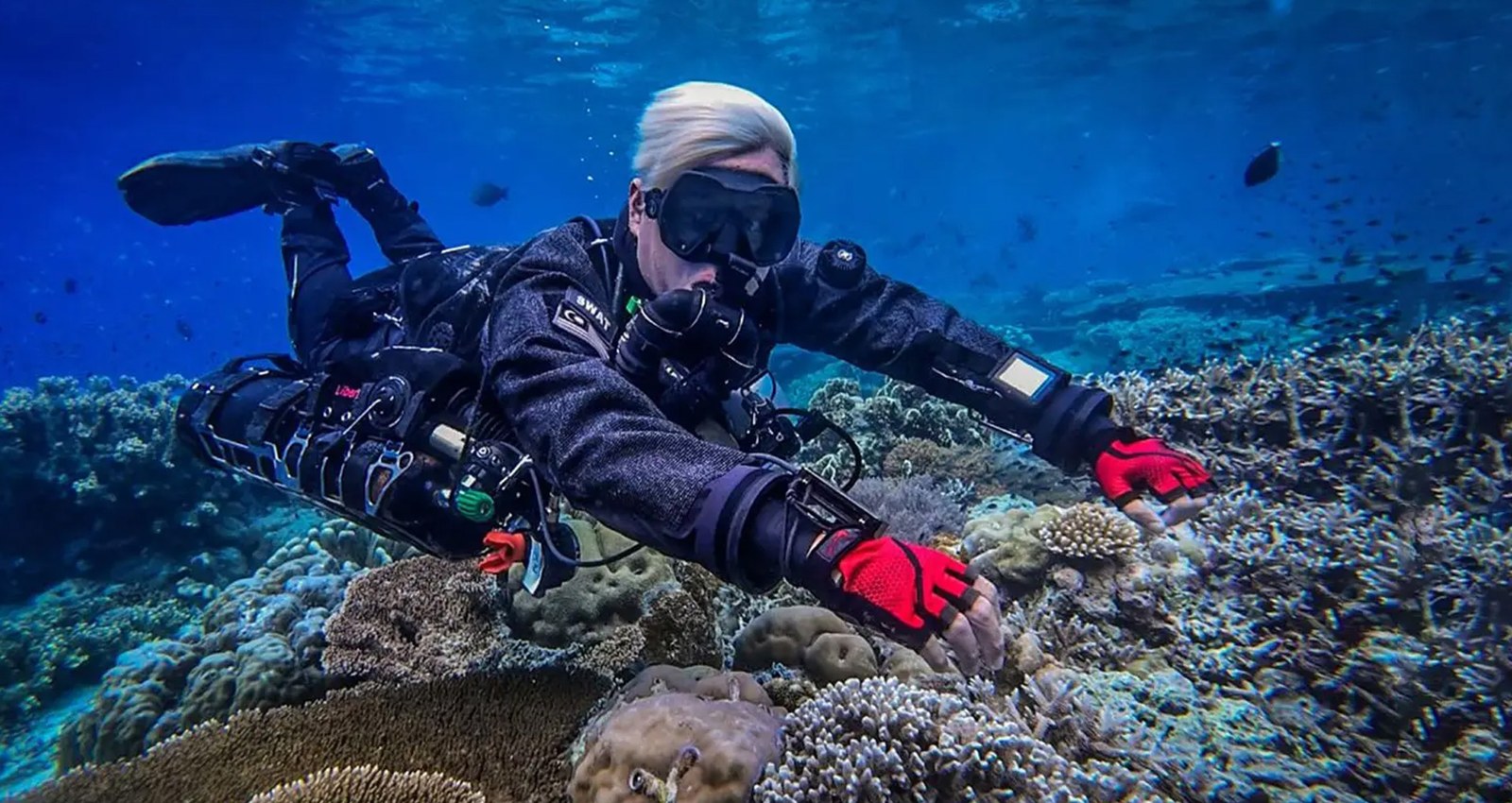 Uncle Chang's (Semporna town, day trips and dive courses)