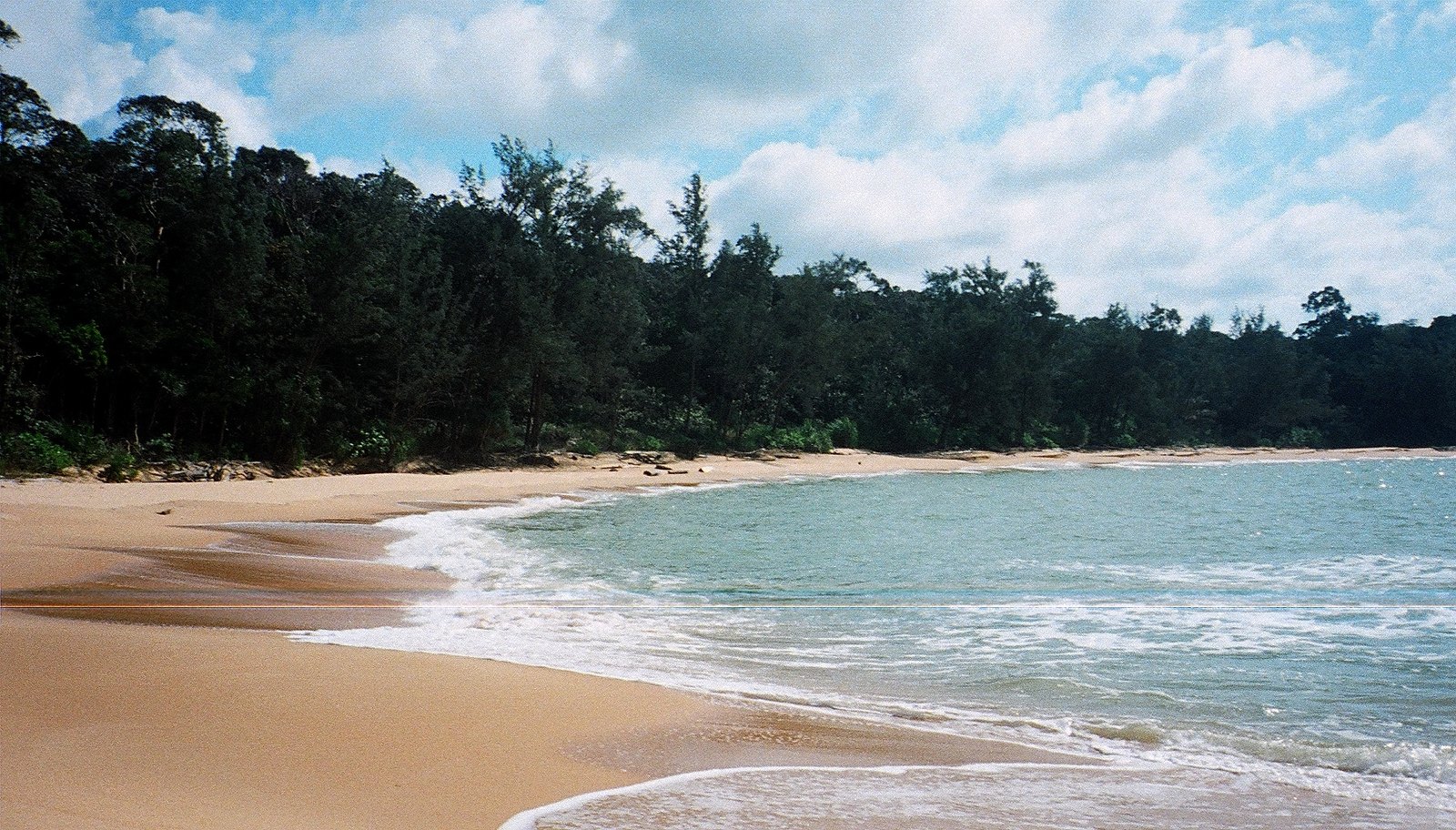 Similajau National Park — RM10 an adult under the gazette, but SFC says no visitors are being let in