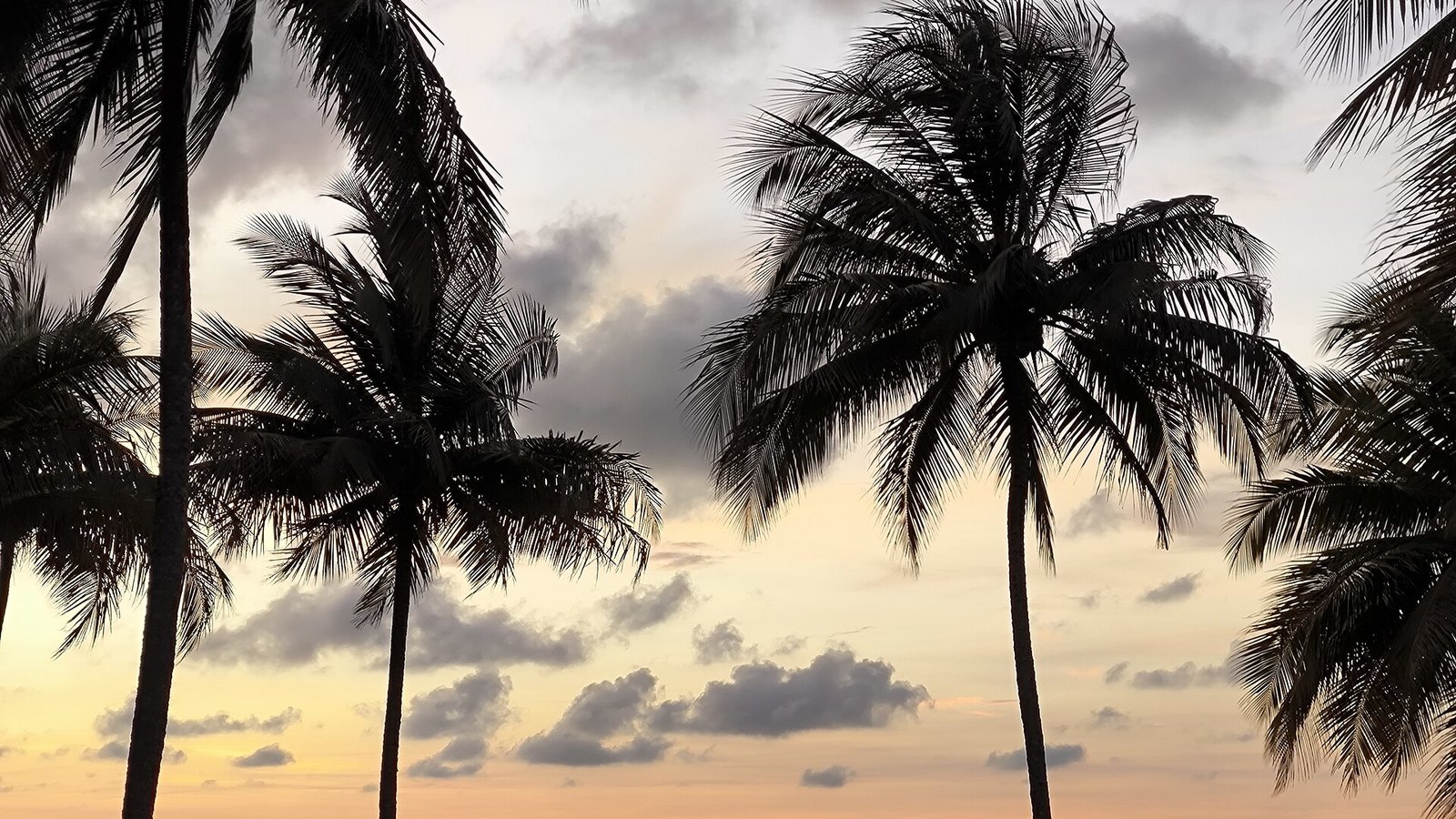 Tanjung Batu Beach — free, sandy and rocky at once, and BDA's own page warns about the monsoon