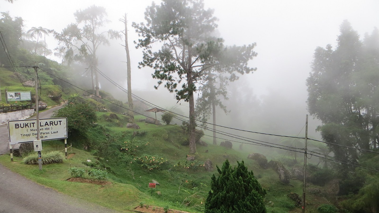 Bukit Larut (Maxwell Hill) — Malaysia's oldest hill station, and the jeep is running again at RM40 one way